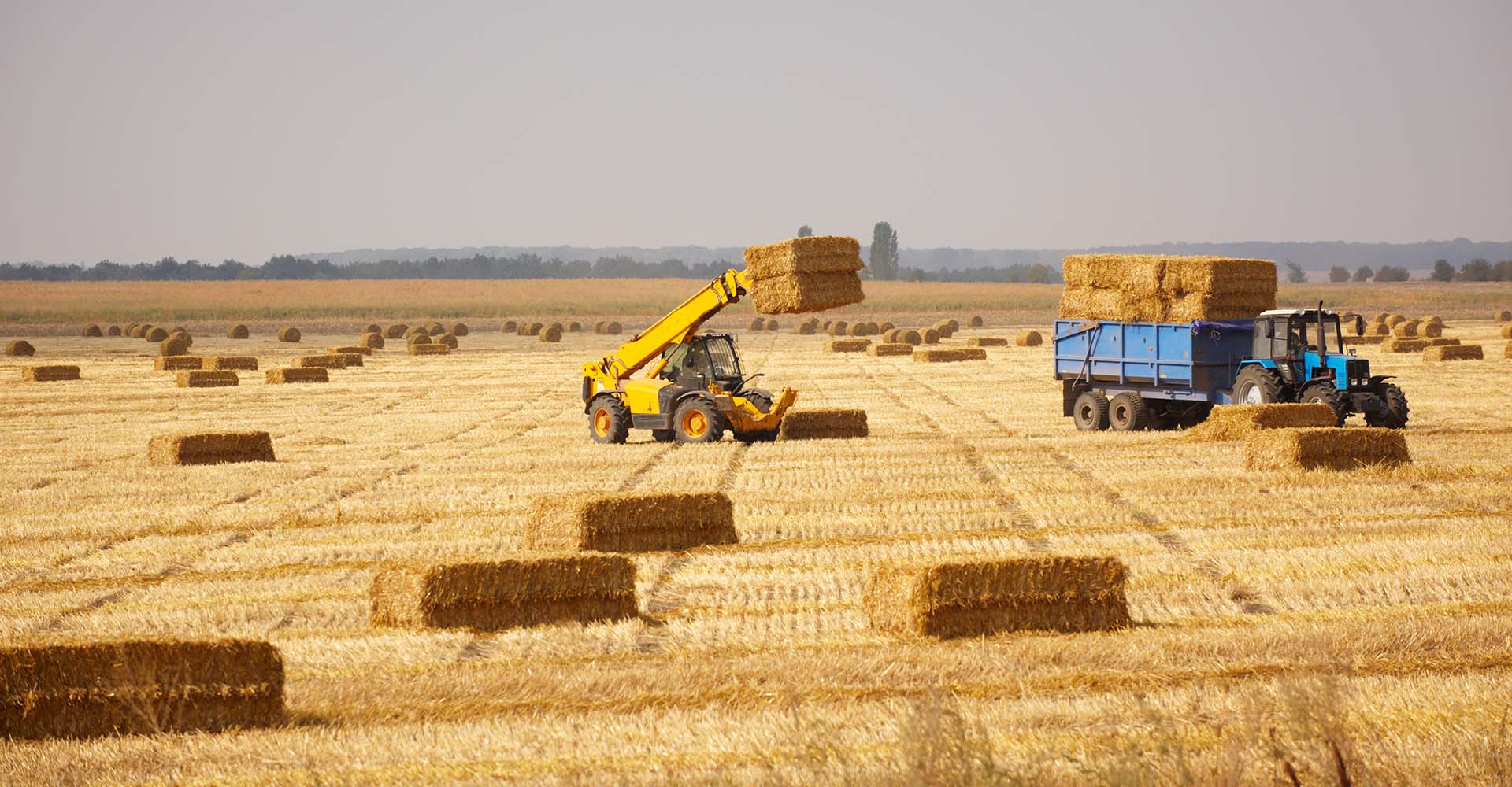011_0000_tractor-loads-dry-haystacks-on-to-the-trailer-2021-10-21-18-47-54-utc