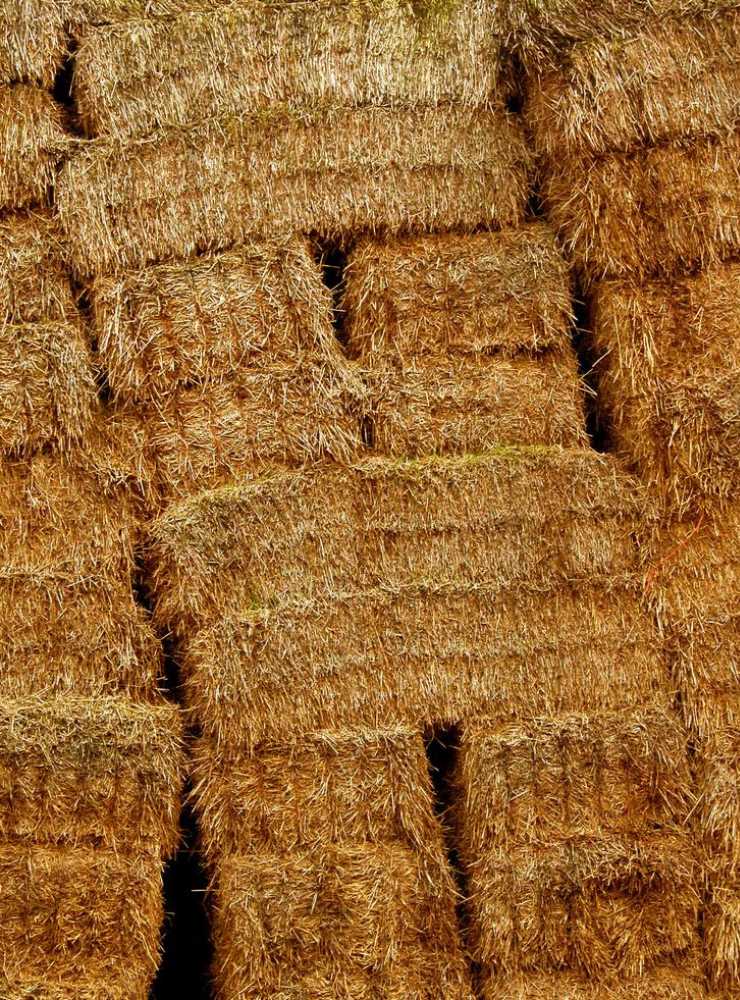 Alfala Grass Hay Stacks