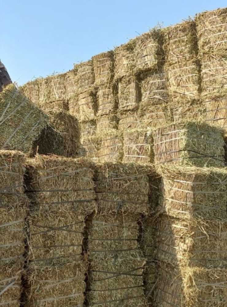 Rhodes Grass Hay stackes