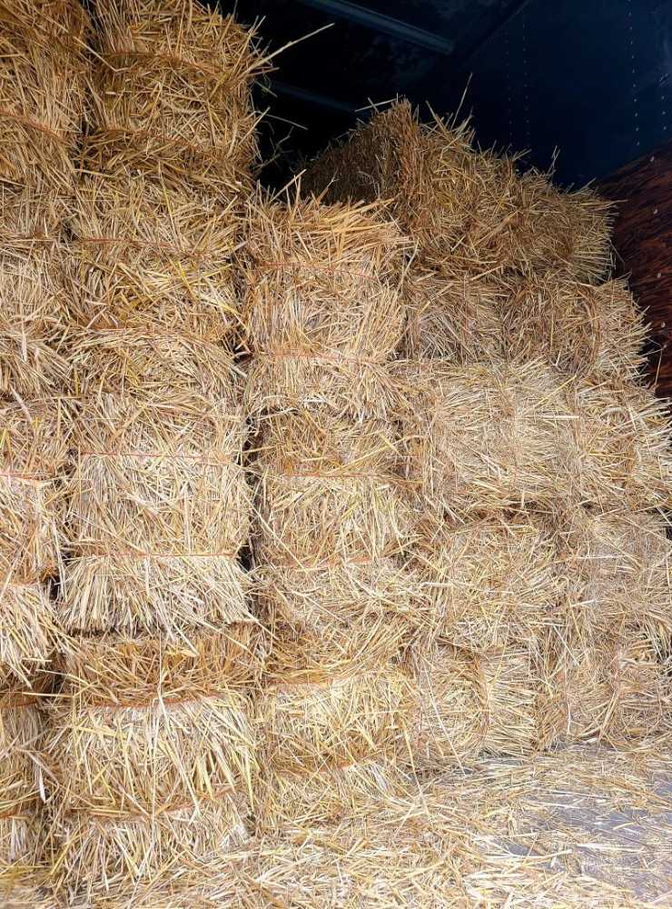 Wheat Straw Bales